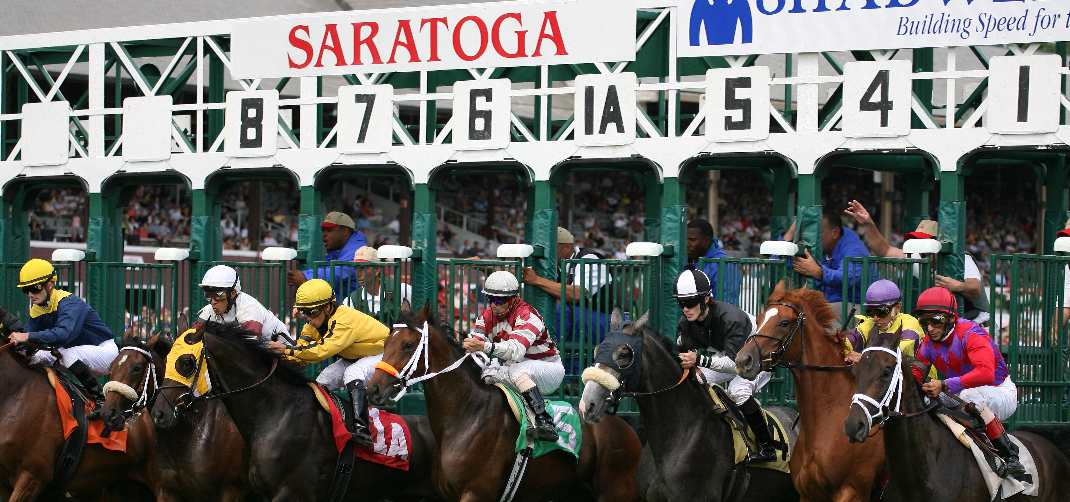 Horses breaking from the starting gate at Saratoga